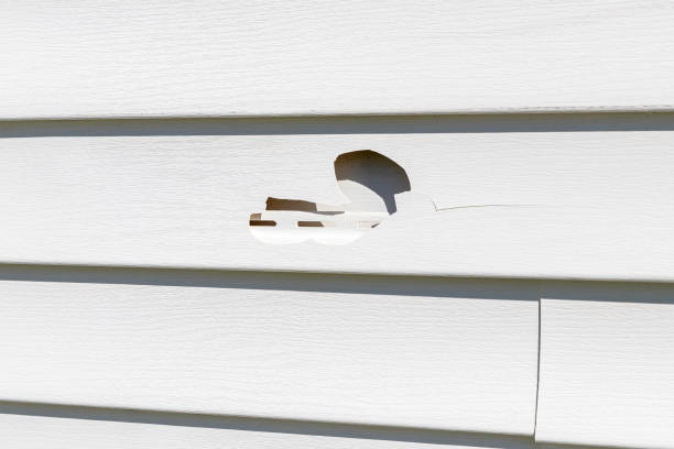 Affordable Siding Repair and Maintenance Services in West Cape May, NJ